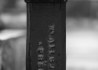 IMG 9436