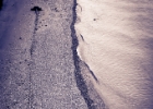 IMG 7143