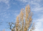 IMG 5628-1