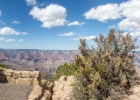 79A2424 Family panorama at the Canyon-1